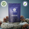 Marine Complex One