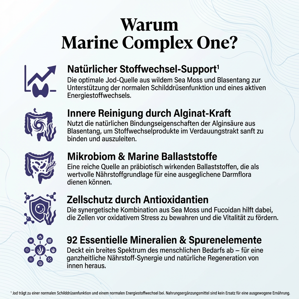 Marine Complex One